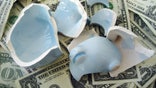 Not all credit unions are alike. For your money, one of these institutions might be a good fit.